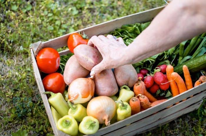 alimentos funcionais