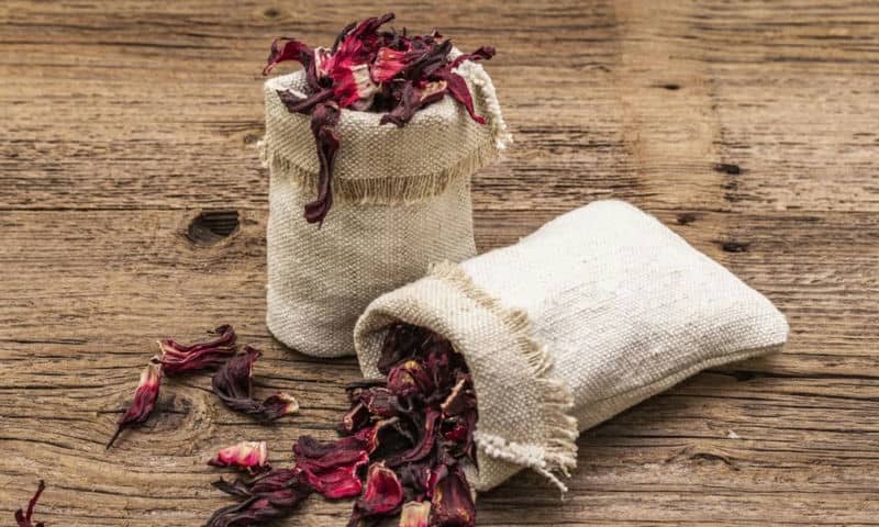 Termogênicos naturais