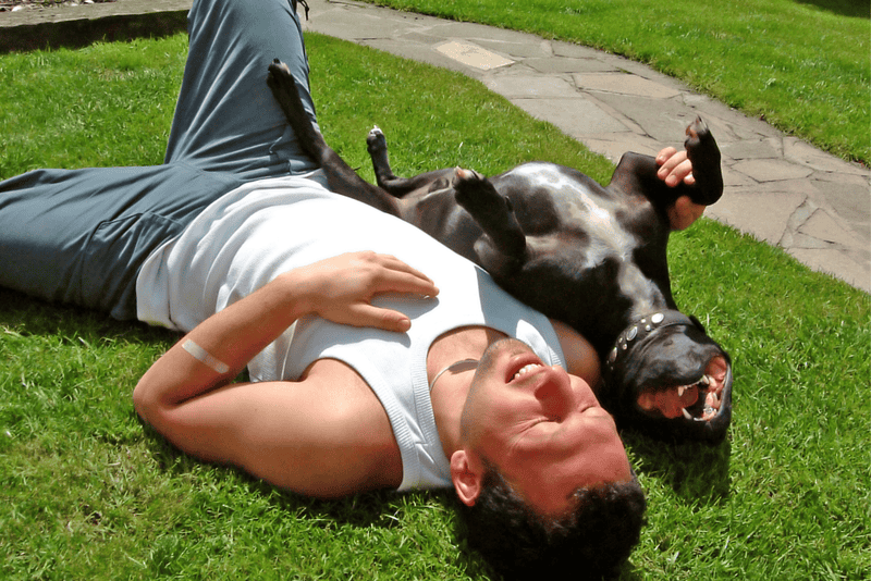 Vitamina D e sua importância para a saúde