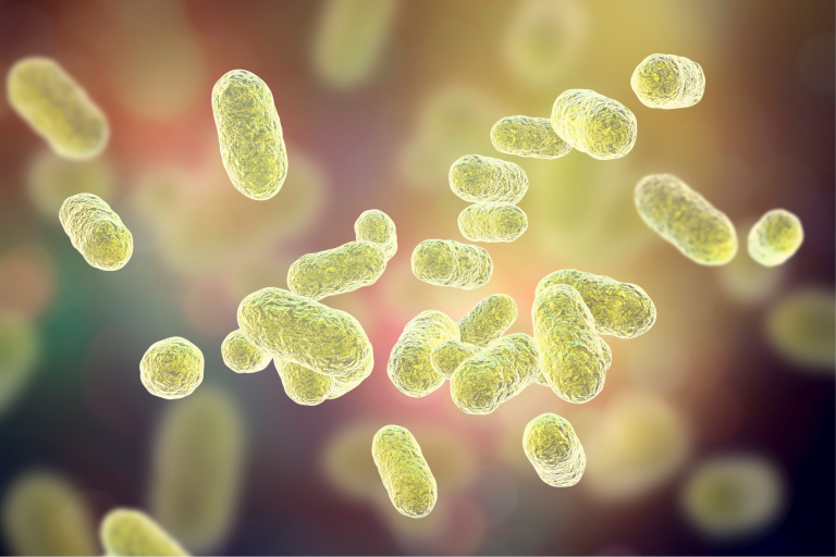 Como a microbiota exerce seu efeito no nosso organismo