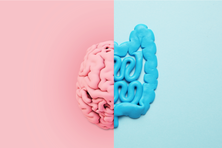 Disbiose e o eixo cérebro-intestino