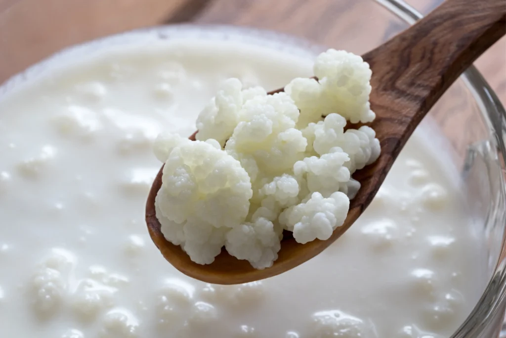Kefir-de-leite-seu-guia-para-entender-cultivar-e-consumir